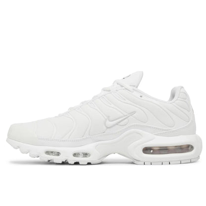 Nike Air Max Plus White Pure Platinum