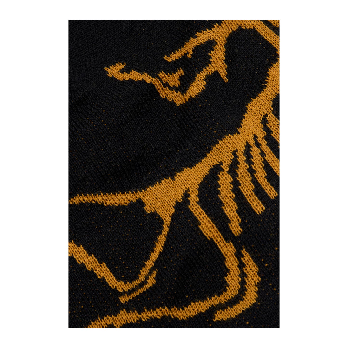 Arc'teryx Bird Head Toque Beanie 24K Black