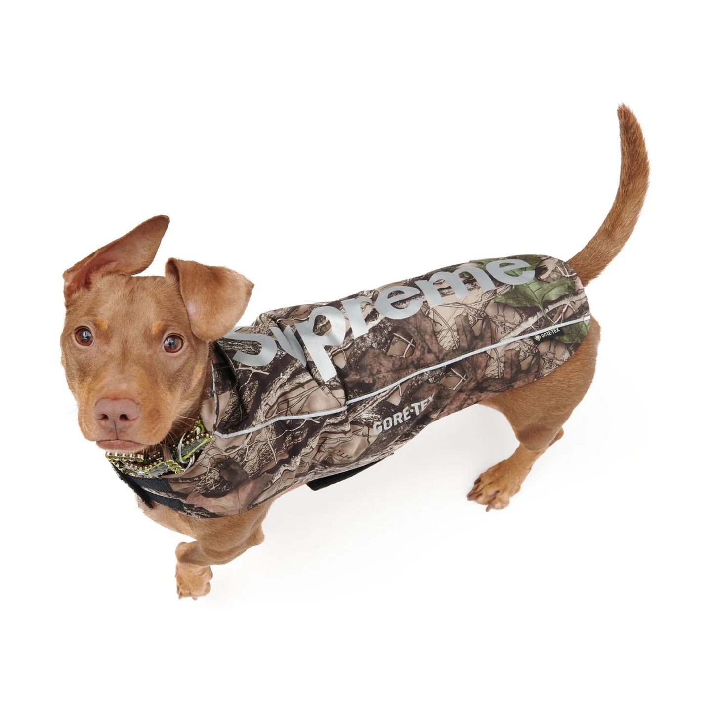 Supreme GORE-TEX Dog Jacket TrueTimber HTC Fall Camo
